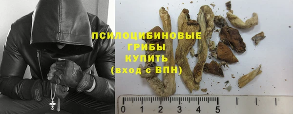 крисы Абинск