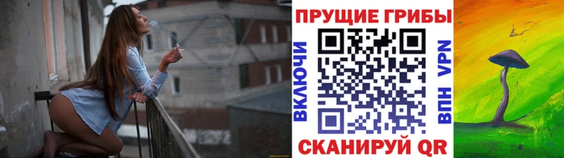 Галлюциногенные грибы прущие грибы  купить  цена  Владикавказ 