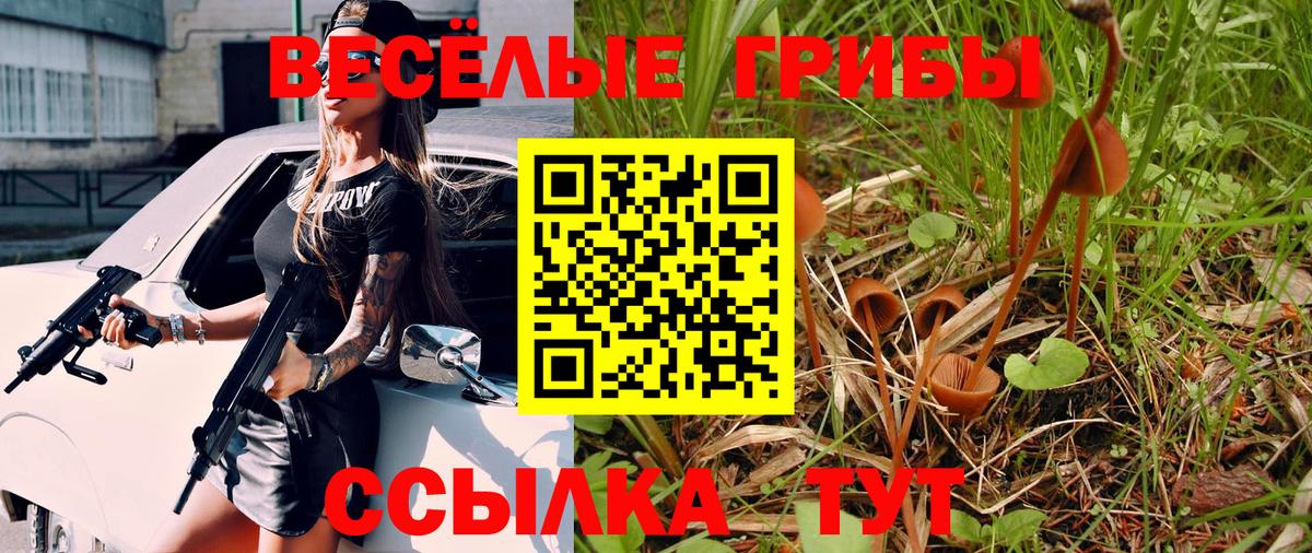 Псилоцибиновые грибы Psilocybe Владикавказ