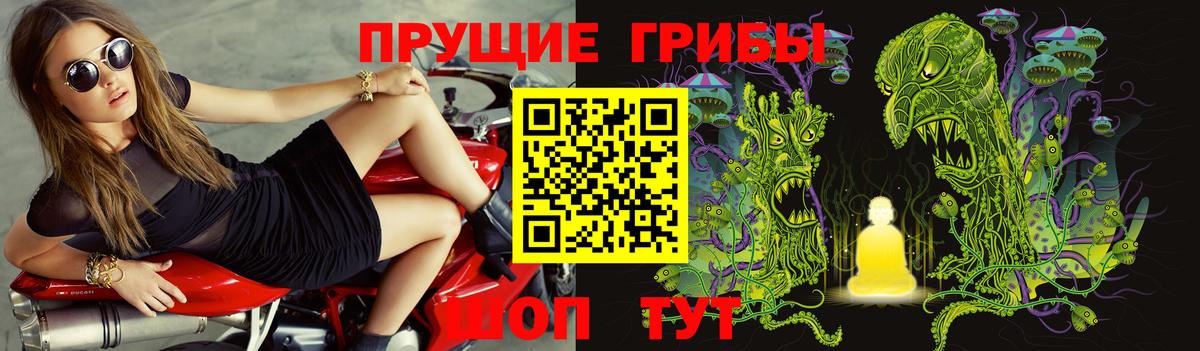 Псилоцибиновые грибы Cubensis  Псилоцибиновые грибы Magic Shrooms  Владикавказ  Вход с VPN 