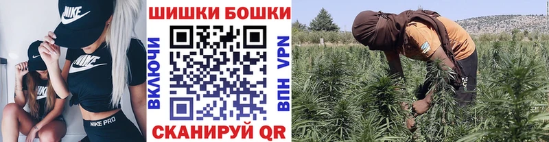 Конопля конопля  наркотики  Владикавказ 